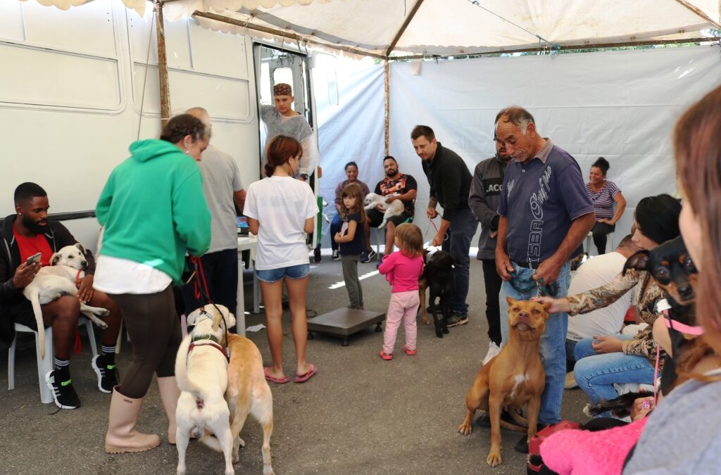 8ª Etapa da Campanha alcança mais de 1.000 animais Castrados e Microchipados