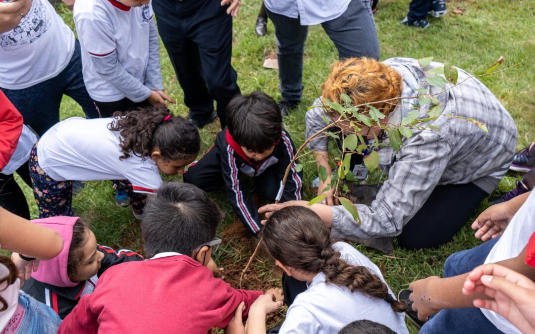 Taboão da Serra realiza campanha Junho Verde voltada à educação ambiental e preservação do Meio Ambiente