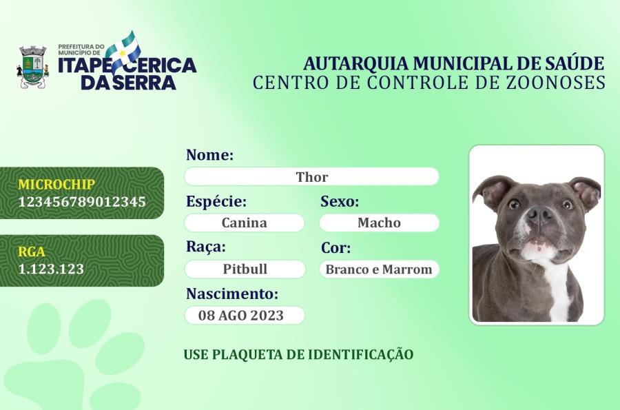 Registro Geral Animal: Autarquia de Saúde lança programa em Itapecerica da Serra